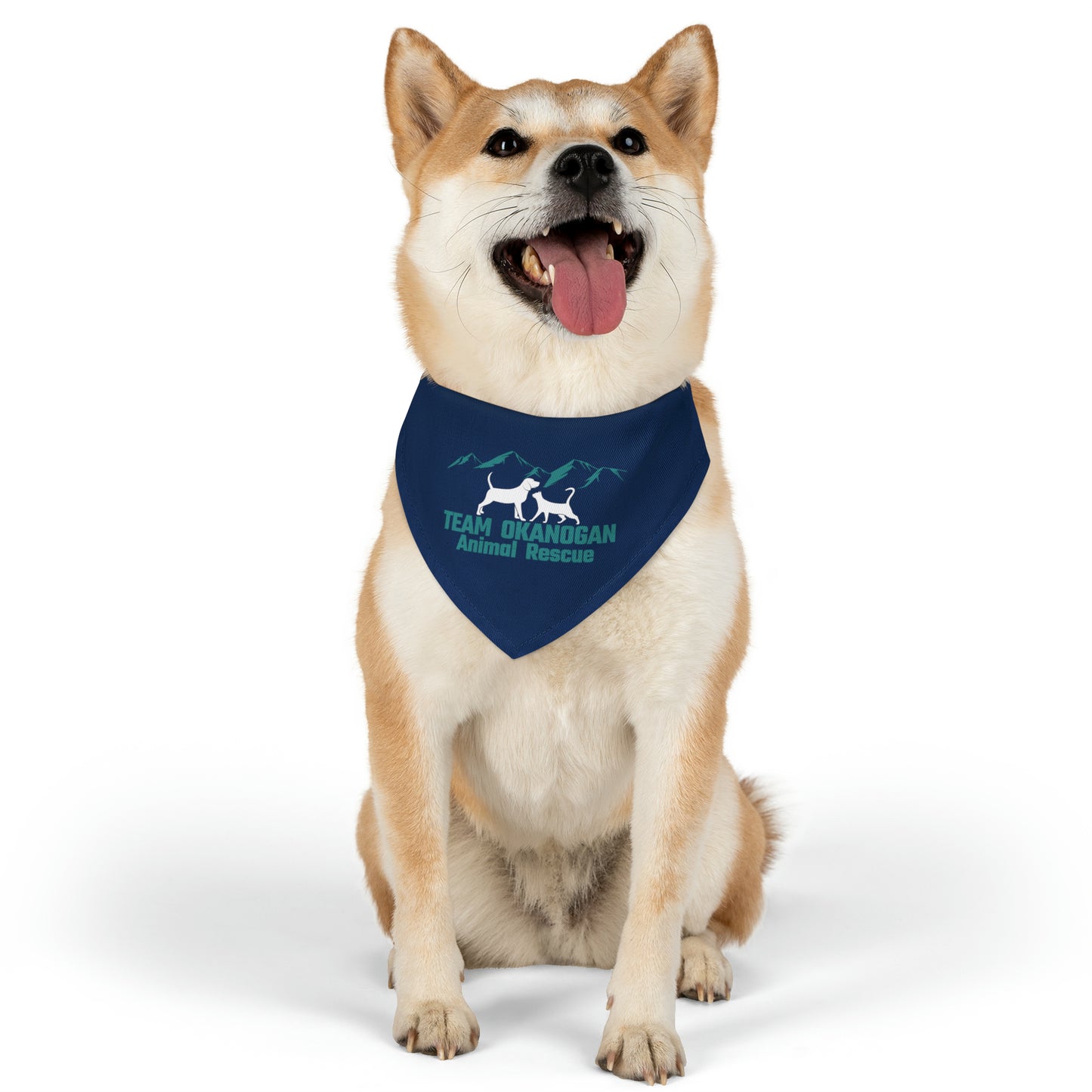 TOAR Pet Bandana Collar