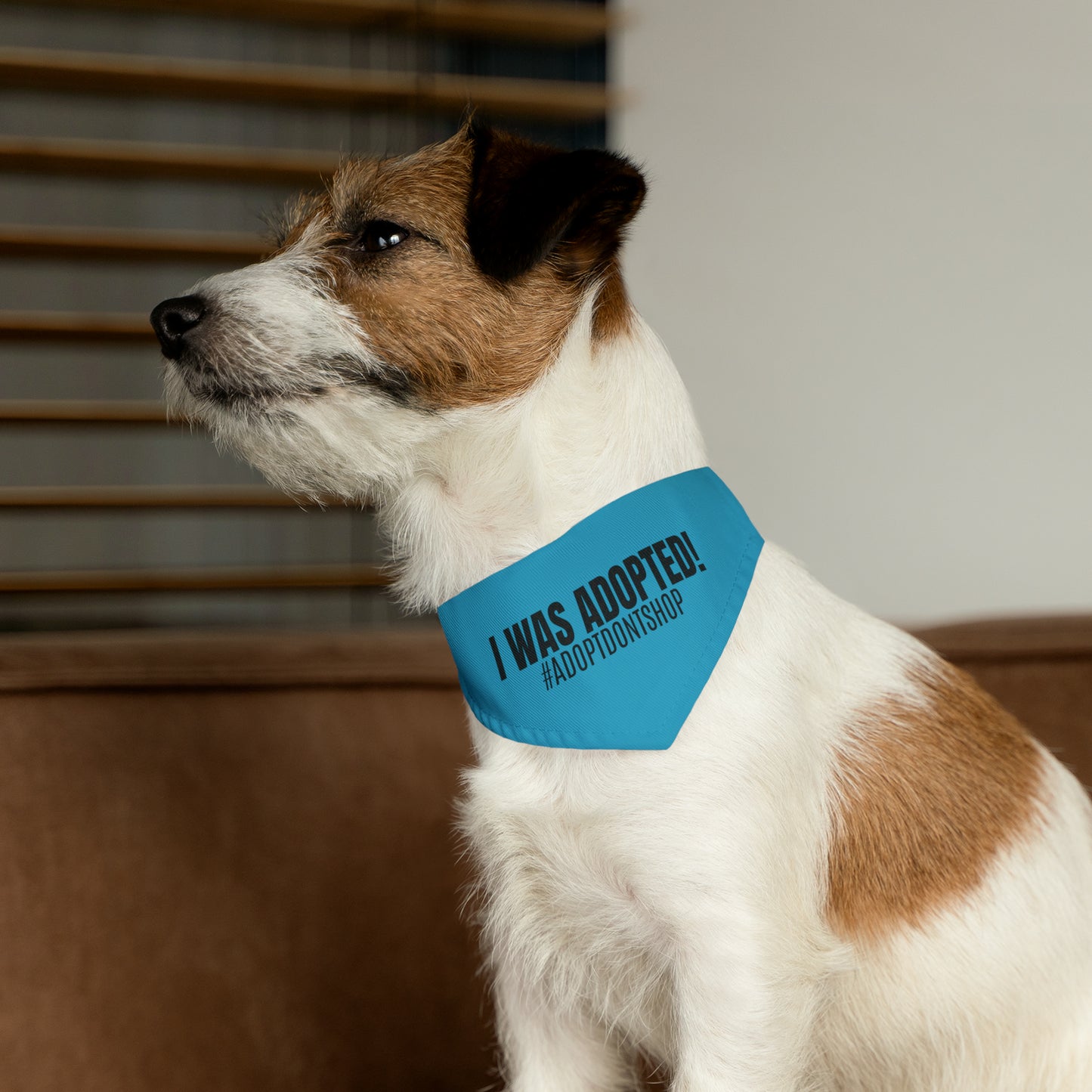 I WAS ADOPTED! Pet Bandana Collar