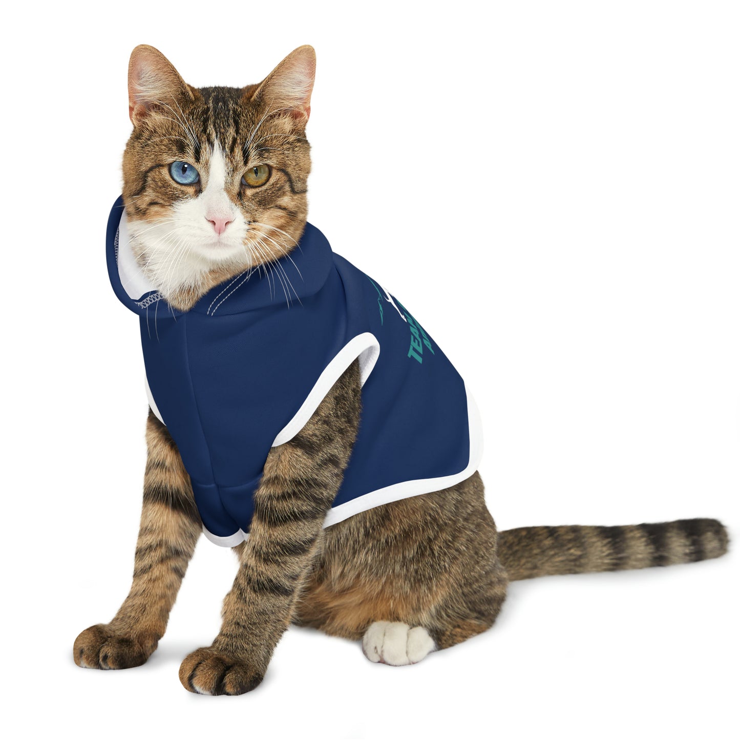 TOAR Pet Hoodie