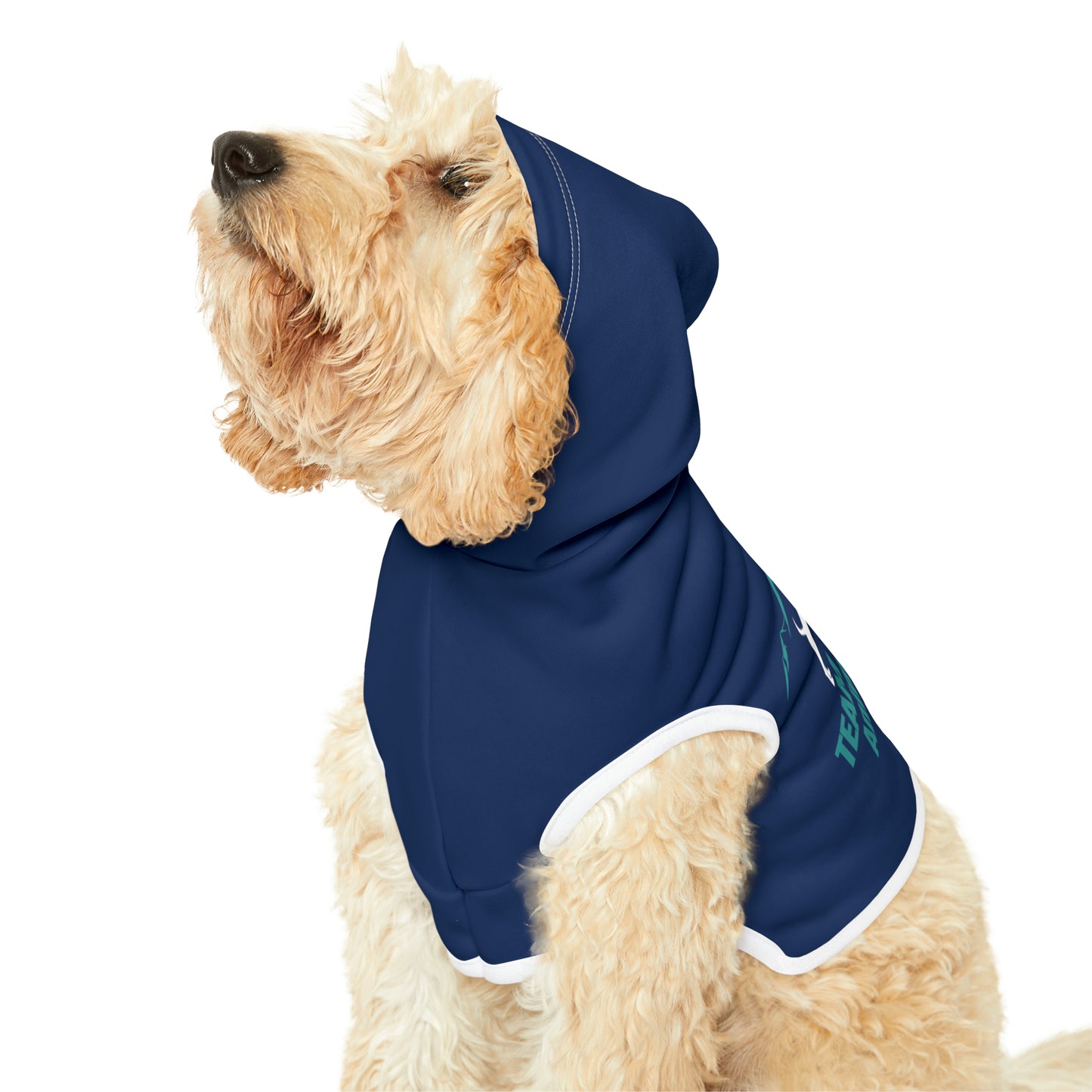 TOAR Pet Hoodie