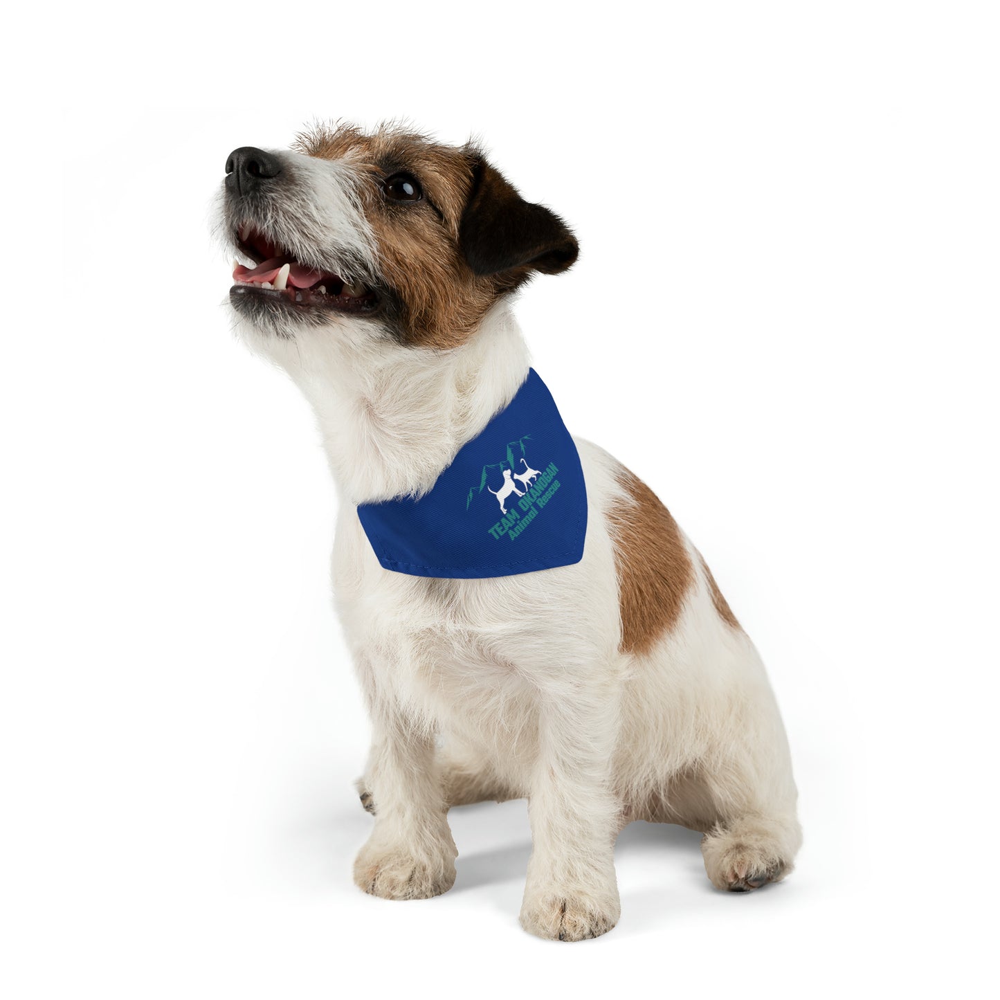 TOAR Pet Bandana Collar