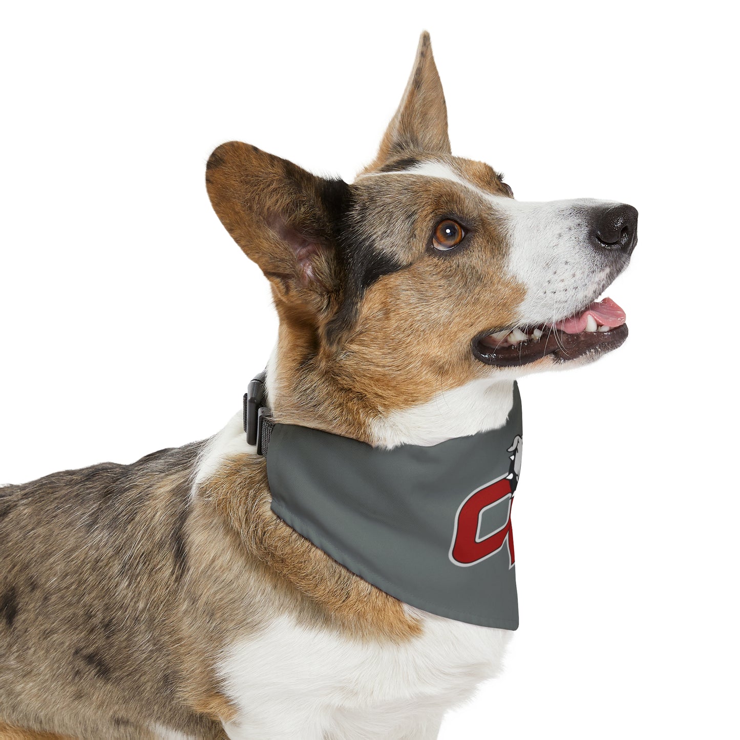 OK BULLDOGS-Pet Bandana Collar