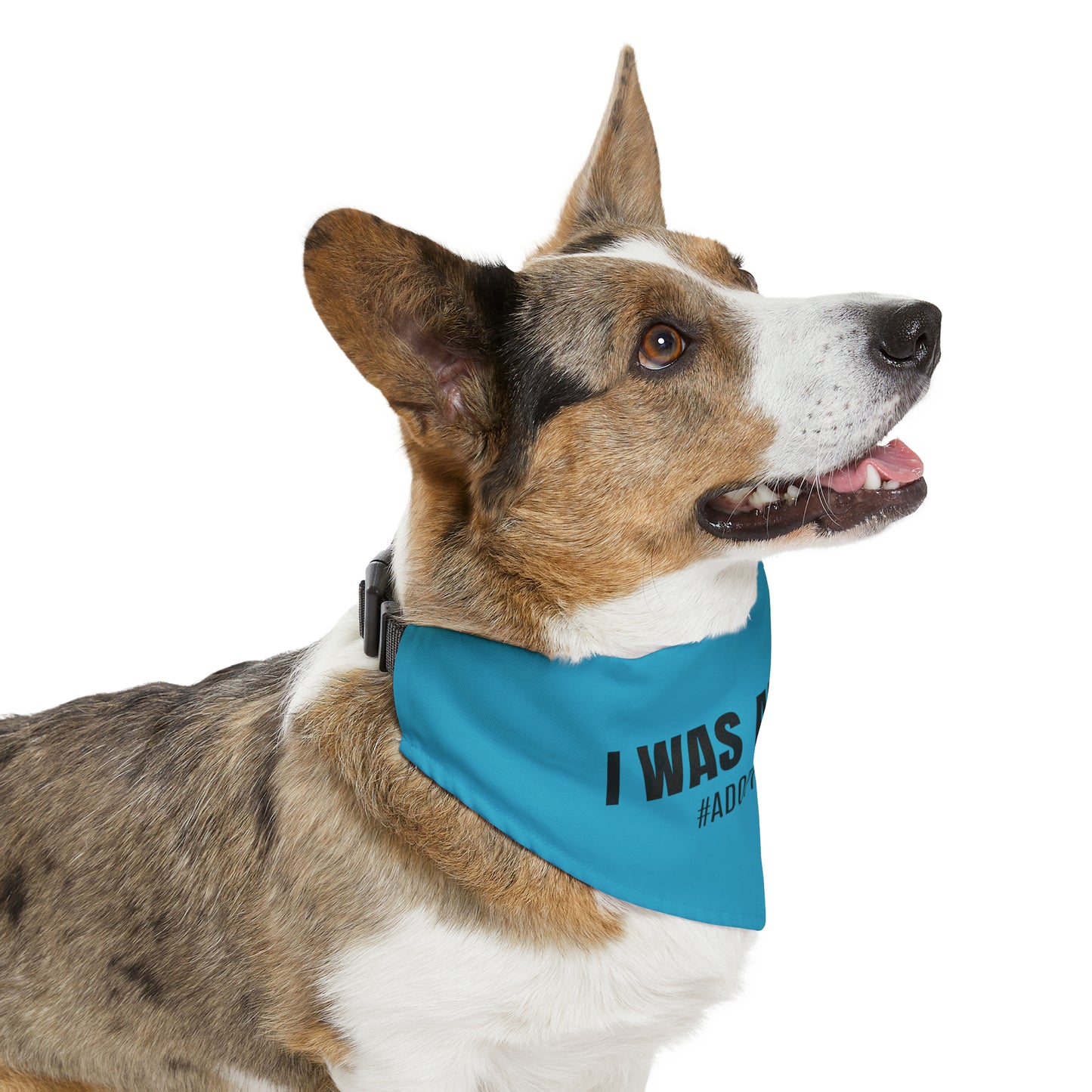 I WAS ADOPTED! Pet Bandana Collar