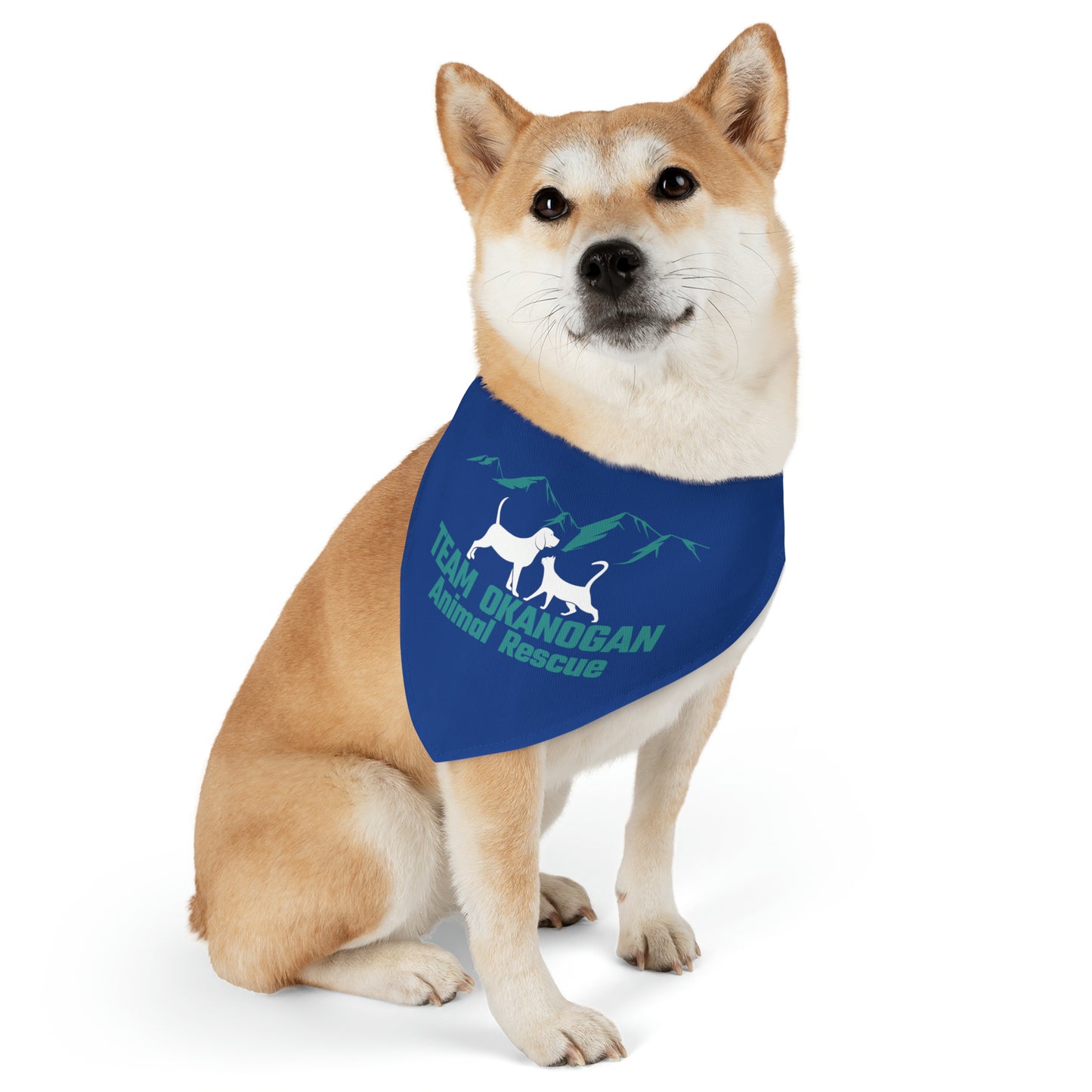 TOAR Pet Bandana Collar