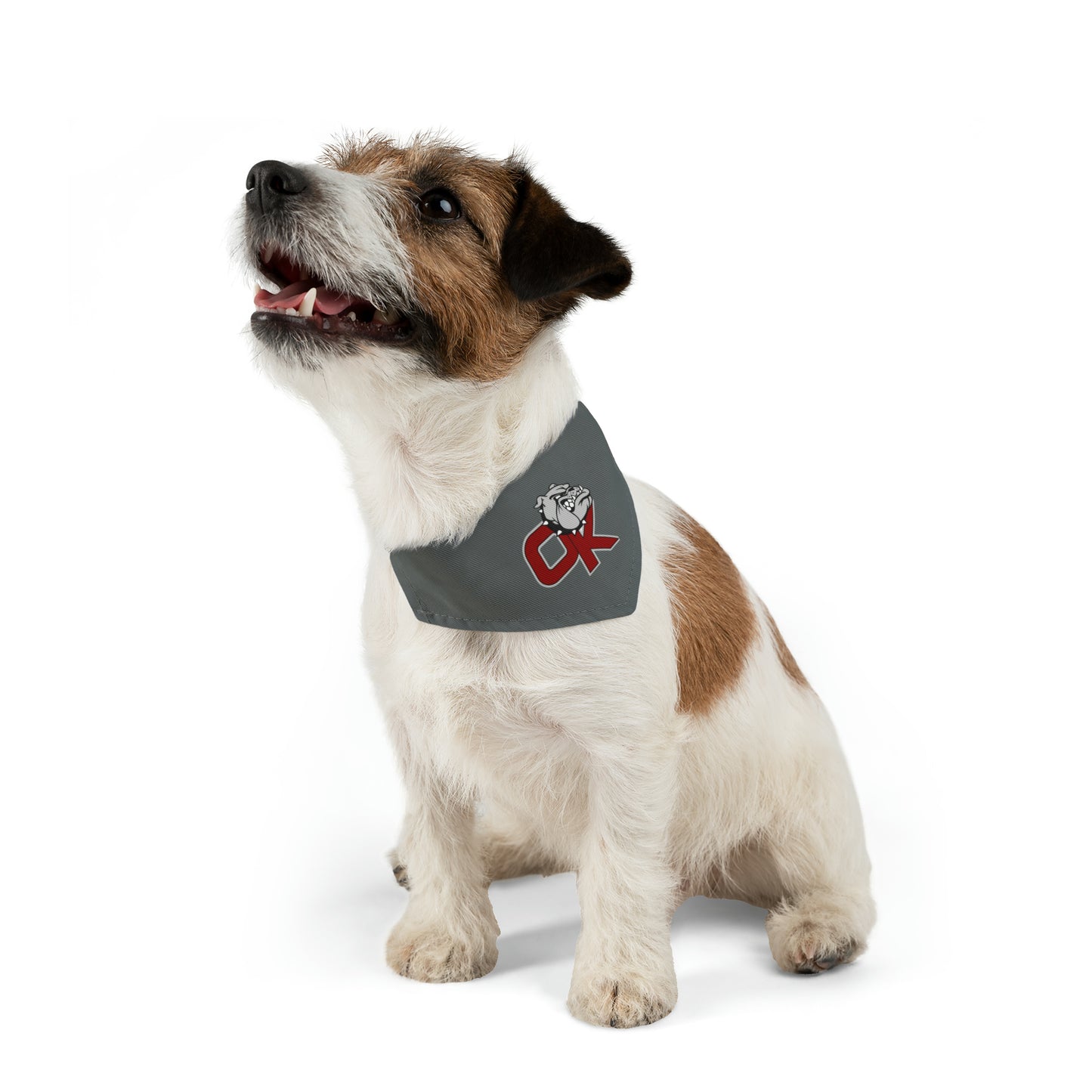 OK BULLDOGS-Pet Bandana Collar