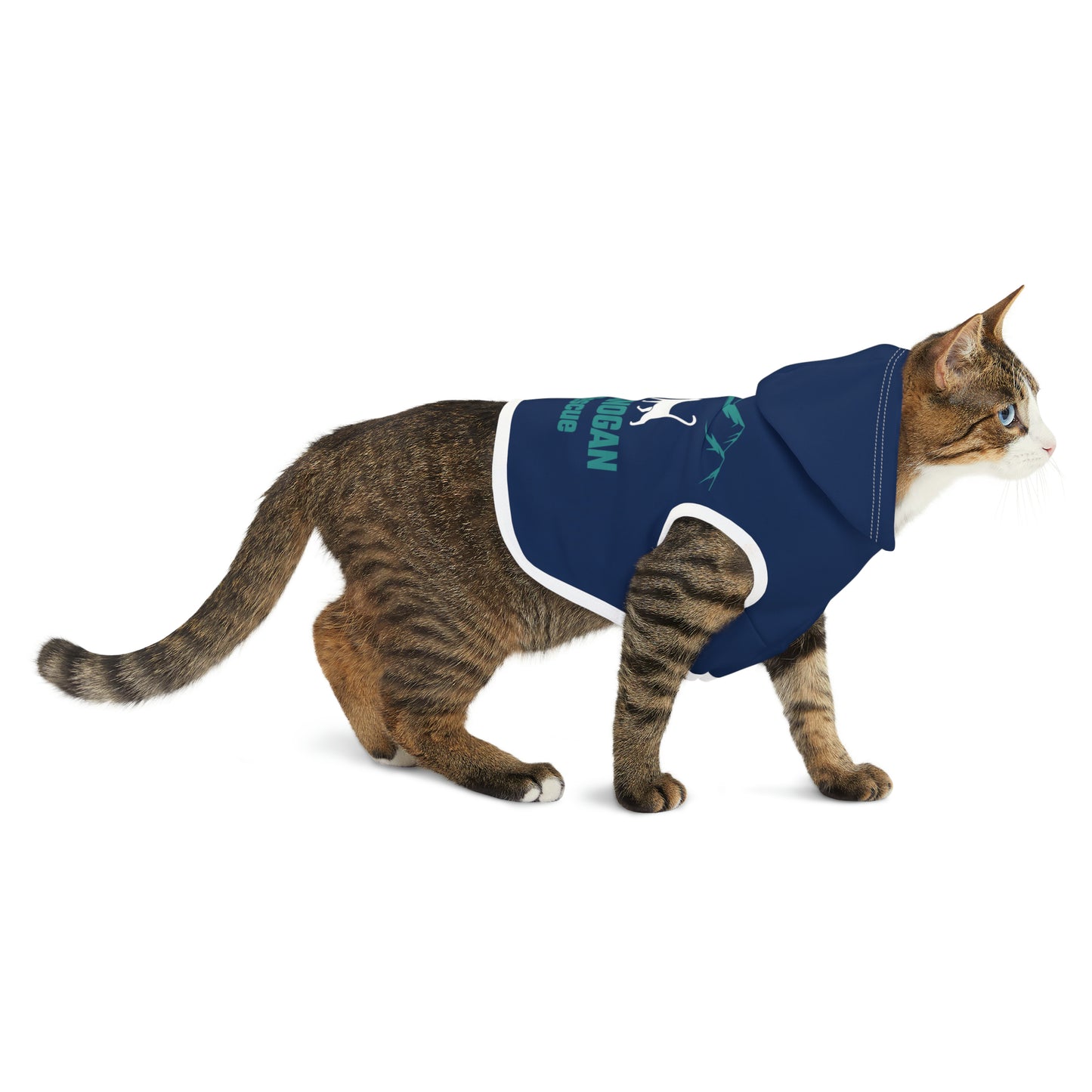 TOAR Pet Hoodie